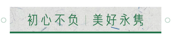 1614584699147408x4zi.png image.png